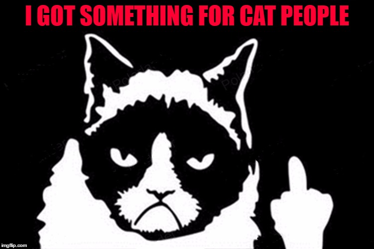 I GOT SOMETHING FOR CAT PEOPLE | made w/ Imgflip meme maker
