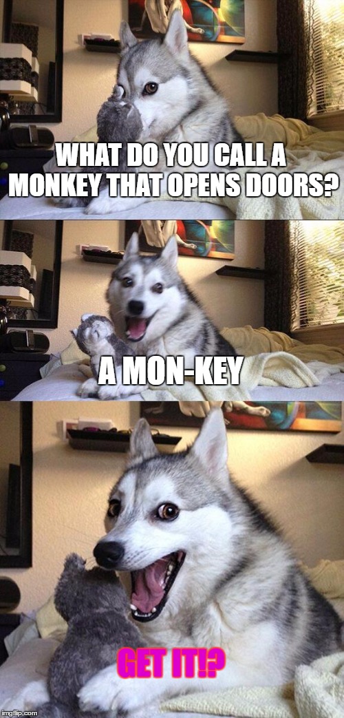 Bad Pun Dog | WHAT DO YOU CALL A MONKEY THAT OPENS DOORS? A MON-KEY; GET IT!? | image tagged in memes,bad pun dog | made w/ Imgflip meme maker