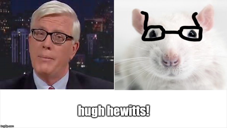 hugh hewitts | hugh hewitts! | image tagged in misinformed reporter,douchebag journalists,hack,rat,conservative hypocrisy,face | made w/ Imgflip meme maker