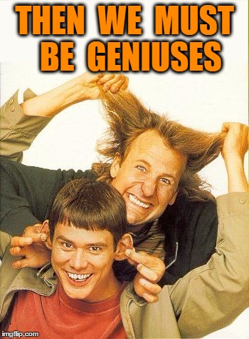 DUMB and dumber | THEN  WE  MUST  BE  GENIUSES | image tagged in dumb and dumber | made w/ Imgflip meme maker