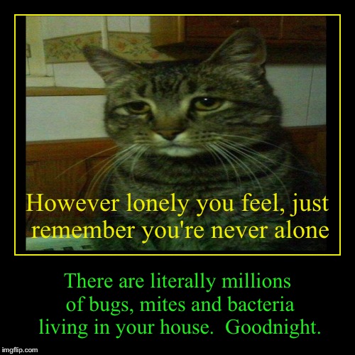 You're never alone | image tagged in funny,demotivationals | made w/ Imgflip demotivational maker