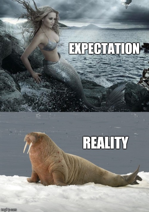 EXPECTATION; REALITY | image tagged in mermaid,expectation vs reality,jbmemegeek,walrus | made w/ Imgflip meme maker