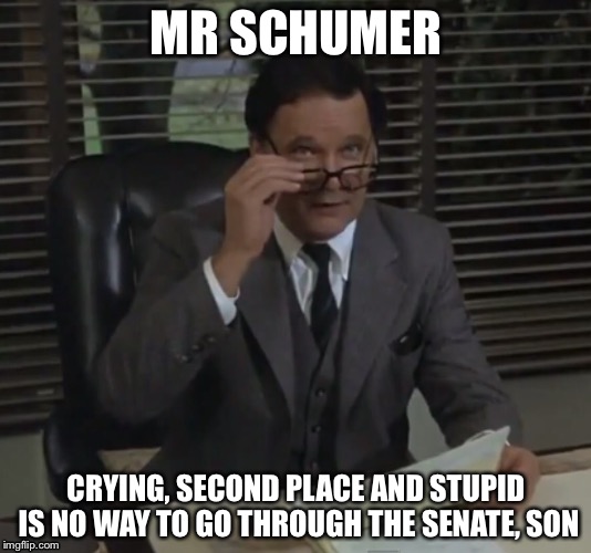 Mr schumer goes to Washington. And gets his sorry ass kicked. Repeatedly. | MR SCHUMER; CRYING, SECOND PLACE AND STUPID IS NO WAY TO GO THROUGH THE SENATE, SON | image tagged in dean wormer | made w/ Imgflip meme maker