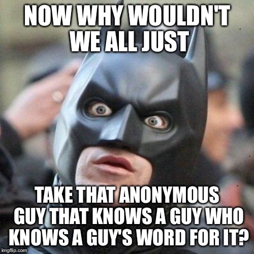 NOW WHY WOULDN'T WE ALL JUST TAKE THAT ANONYMOUS GUY THAT KNOWS A GUY WHO KNOWS A GUY'S WORD FOR IT? | made w/ Imgflip meme maker