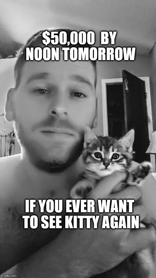 Ransom kitty | $50,000  BY NOON TOMORROW; IF YOU EVER WANT TO SEE KITTY AGAIN | image tagged in ransom | made w/ Imgflip meme maker