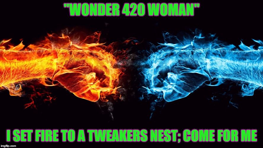 "WONDER 420 WOMAN"; I SET FIRE TO A TWEAKERS NEST; COME FOR ME | image tagged in wonder 420 woman | made w/ Imgflip meme maker