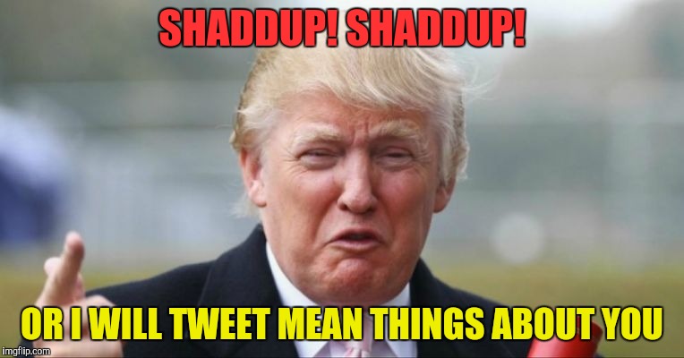 SHADDUP! SHADDUP! OR I WILL TWEET MEAN THINGS ABOUT YOU | made w/ Imgflip meme maker