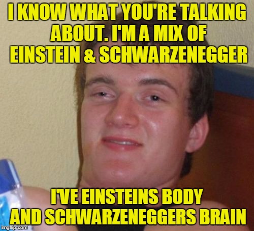 10 Guy Meme | I KNOW WHAT YOU'RE TALKING ABOUT. I'M A MIX OF EINSTEIN & SCHWARZENEGGER I'VE EINSTEINS BODY AND SCHWARZENEGGERS BRAIN | image tagged in memes,10 guy | made w/ Imgflip meme maker