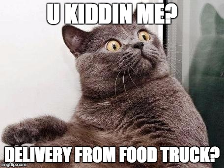 Surprised cat | U KIDDIN ME? DELIVERY FROM FOOD TRUCK? | image tagged in surprised cat | made w/ Imgflip meme maker