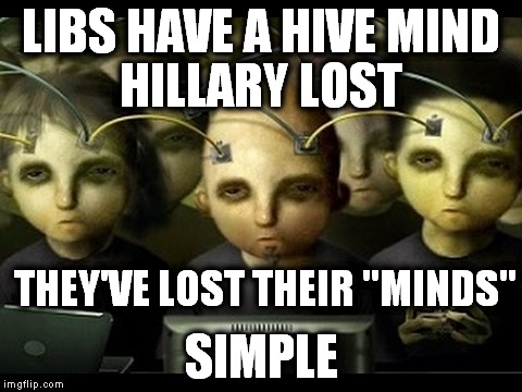 Libs lost their minds | HILLARY LOST; LIBS HAVE A HIVE MIND; THEY'VE LOST THEIR "MINDS"; SIMPLE | image tagged in liberals,hive mind,morons,antifa cucks | made w/ Imgflip meme maker