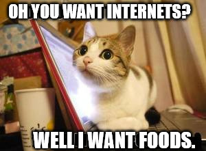 Kitty is hungry. | OH YOU WANT INTERNETS? WELL I WANT FOODS. | image tagged in hungry kitty cat on laptop,cats,funny memes,pc,cat,food | made w/ Imgflip meme maker