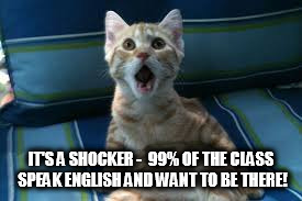 IT'S A SHOCKER -  99% OF THE CLASS SPEAK ENGLISH AND WANT TO BE THERE! | image tagged in surprise kitty | made w/ Imgflip meme maker