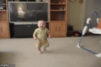 Cat fu | image tagged in gifs,funny,lolcats | made w/ Imgflip video-to-gif maker