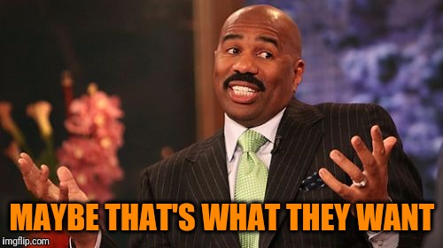 Steve Harvey Meme | MAYBE THAT'S WHAT THEY WANT | image tagged in memes,steve harvey | made w/ Imgflip meme maker