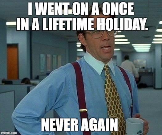 That Would Be Great Meme | I WENT ON A ONCE IN A LIFETIME HOLIDAY. NEVER AGAIN | image tagged in memes,that would be great | made w/ Imgflip meme maker