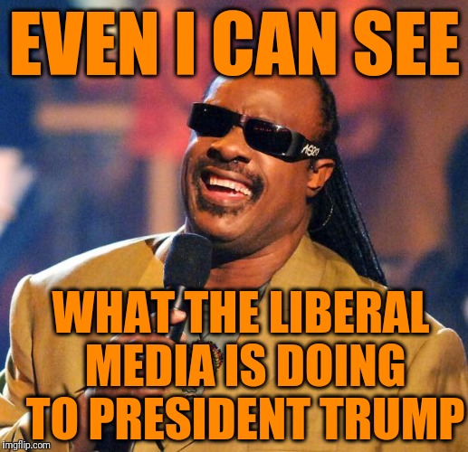 Even Michael Moore wants Trump impeached! | EVEN I CAN SEE; WHAT THE LIBERAL MEDIA IS DOING TO PRESIDENT TRUMP | image tagged in stevie wonder solar eclipse | made w/ Imgflip meme maker