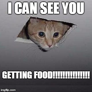 Ceiling Cat Meme | I CAN SEE YOU; GETTING FOOD!!!!!!!!!!!!!!! | image tagged in memes,ceiling cat | made w/ Imgflip meme maker