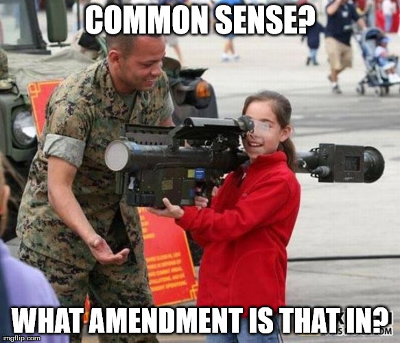 kid with stinger | COMMON SENSE? WHAT AMENDMENT IS THAT IN? | image tagged in no common sense | made w/ Imgflip meme maker