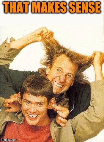 DUMB and dumber | THAT MAKES SENSE | image tagged in dumb and dumber | made w/ Imgflip meme maker