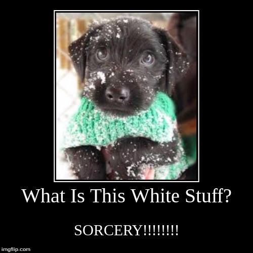 What Is This White Stuff? | SORCERY!!!!!!!! | image tagged in funny,demotivationals | made w/ Imgflip demotivational maker