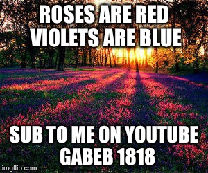 roses are red | ROSES ARE RED VIOLETS ARE BLUE; SUB TO ME ON YOUTUBE 
GABEB 1818 | image tagged in roses are red | made w/ Imgflip meme maker