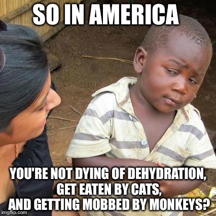 Third World Skeptical Kid | SO IN AMERICA; YOU'RE NOT DYING OF DEHYDRATION, GET EATEN BY CATS, AND GETTING MOBBED BY MONKEYS? | image tagged in memes,third world skeptical kid | made w/ Imgflip meme maker