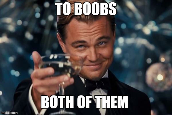 Leonardo Dicaprio Cheers Meme | TO BOOBS BOTH OF THEM | image tagged in memes,leonardo dicaprio cheers | made w/ Imgflip meme maker