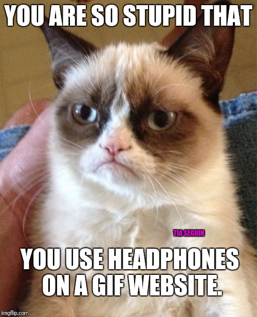 Grumpy Cat Meme | YOU ARE SO STUPID THAT; TIA SEGUIN; YOU USE HEADPHONES ON A GIF WEBSITE. | image tagged in memes,grumpy cat | made w/ Imgflip meme maker