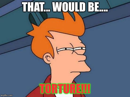 Futurama Fry Meme | THAT... WOULD BE.... TORTURE!!! | image tagged in memes,futurama fry | made w/ Imgflip meme maker