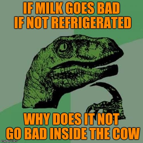 Milk | IF MILK GOES BAD IF NOT REFRIGERATED; WHY DOES IT NOT GO BAD INSIDE THE COW | image tagged in memes,philosoraptor | made w/ Imgflip meme maker