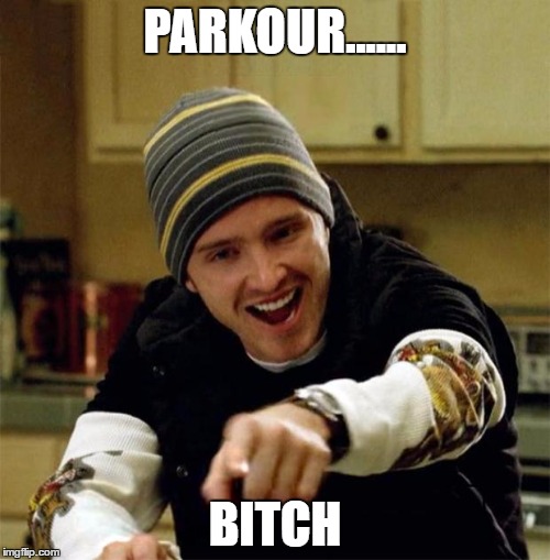 jesse bitch | PARKOUR...... BITCH | image tagged in jesse bitch | made w/ Imgflip meme maker