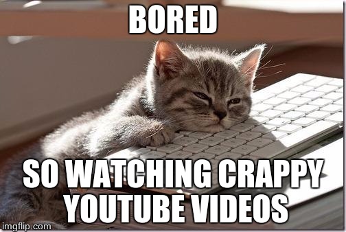 Bored Keyboard Cat | BORED; SO WATCHING CRAPPY YOUTUBE VIDEOS | image tagged in bored keyboard cat | made w/ Imgflip meme maker