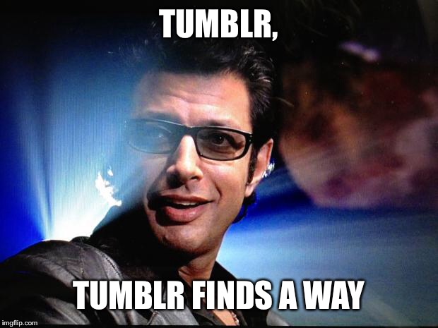 Ian Malcolm | TUMBLR, TUMBLR FINDS A WAY | image tagged in ian malcolm | made w/ Imgflip meme maker