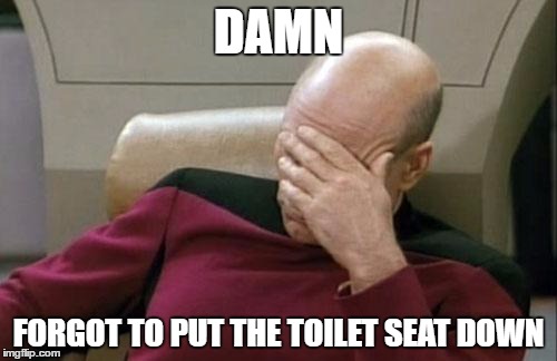 Captain Picard Facepalm | DAMN; FORGOT TO PUT THE TOILET SEAT DOWN | image tagged in memes,captain picard facepalm | made w/ Imgflip meme maker