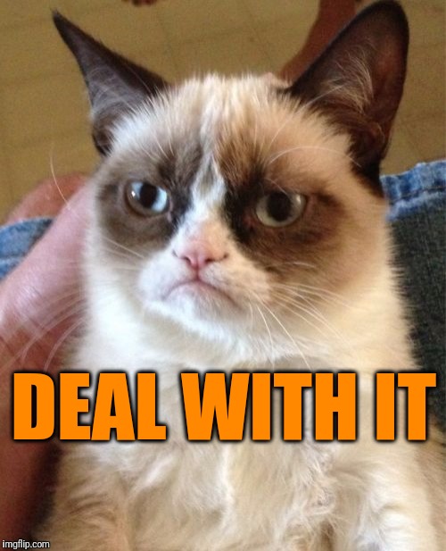 Grumpy Cat Meme | DEAL WITH IT | image tagged in memes,grumpy cat | made w/ Imgflip meme maker