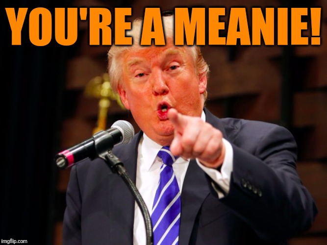 trump point | YOU'RE A MEANIE! | image tagged in trump point | made w/ Imgflip meme maker