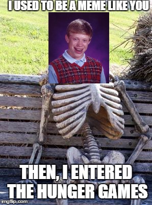 Waiting Skeleton Meme | I USED TO BE A MEME LIKE YOU THEN, I ENTERED THE HUNGER GAMES | image tagged in memes,waiting skeleton | made w/ Imgflip meme maker