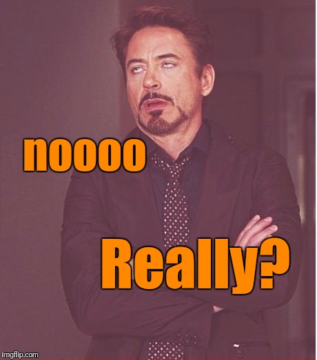 Face You Make Robert Downey Jr Meme | noooo Really? | image tagged in memes,face you make robert downey jr | made w/ Imgflip meme maker