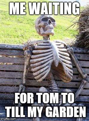 Waiting Skeleton Meme | ME WAITING; FOR TOM TO TILL MY GARDEN | image tagged in memes,waiting skeleton | made w/ Imgflip meme maker