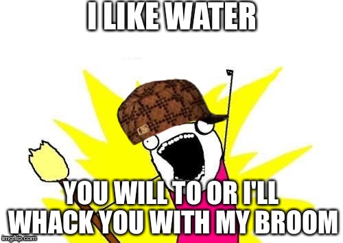 X All The Y | I LIKE WATER; YOU WILL TO OR I'LL WHACK YOU WITH MY BROOM | image tagged in memes,x all the y,scumbag | made w/ Imgflip meme maker