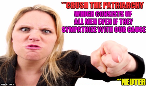 **CRUSH THE PATRIARCHY WHICH CONSISTS OF ALL MEN EVEN IF THEY SYMPATHIZE WITH OUR CAUSE **NEUTER | made w/ Imgflip meme maker