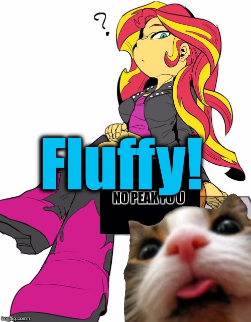 Fluffy! | made w/ Imgflip meme maker