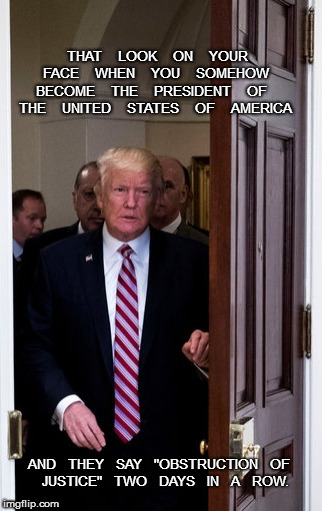 That Look on Your Face Trump | THAT    LOOK    ON    YOUR    FACE    WHEN    YOU    SOMEHOW    BECOME    THE    PRESIDENT    OF    THE    UNITED    STATES    OF    AMERICA; AND   THEY   SAY   "OBSTRUCTION   OF   JUSTICE"   TWO   DAYS   IN   A   ROW. | image tagged in look,face,trump,obstruction | made w/ Imgflip meme maker