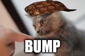 kitten fist bump | BUMP | image tagged in kitten fist bump,scumbag | made w/ Imgflip meme maker