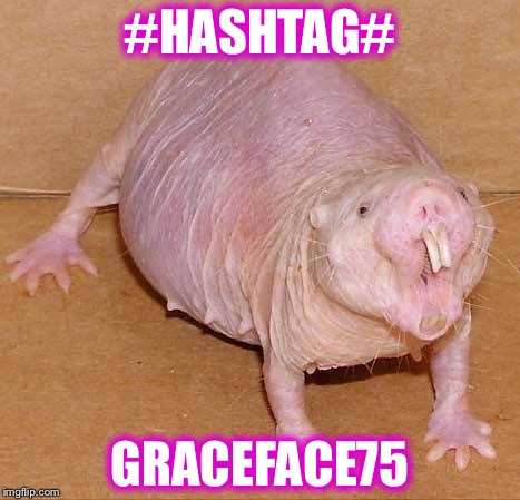 naked mole rat | #HASHTAG#; GRACEFACE75 | image tagged in naked mole rat | made w/ Imgflip meme maker