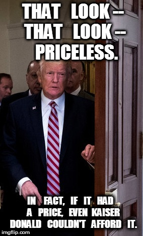 That Look Even Donald Couldn't Afford | THAT   LOOK --  THAT   LOOK --       PRICELESS. IN    FACT,   IF   IT   HAD   A   PRICE,   EVEN  KAISER   DONALD   COULDN'T   AFFORD   IT. | image tagged in look,donald | made w/ Imgflip meme maker