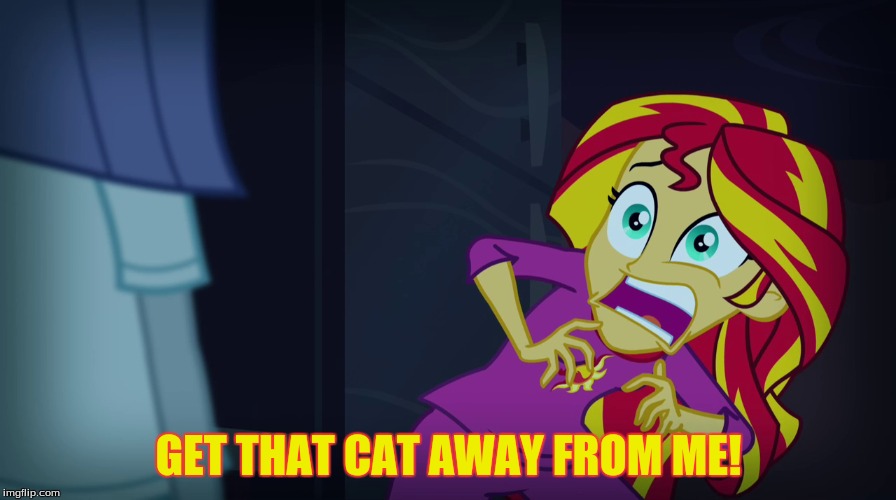 GET THAT CAT AWAY FROM ME! | made w/ Imgflip meme maker