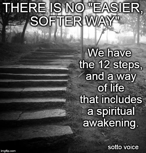 THERE IS NO "EASIER, SOFTER WAY"; We have the 12 steps, and a way of life that includes a spiritual awakening. sotto voice | image tagged in steps | made w/ Imgflip meme maker
