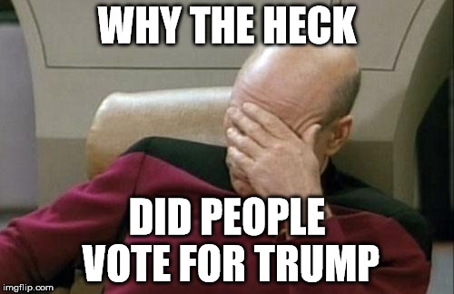 Captain Picard Facepalm Meme | WHY THE HECK; DID PEOPLE VOTE FOR TRUMP | image tagged in memes,captain picard facepalm | made w/ Imgflip meme maker