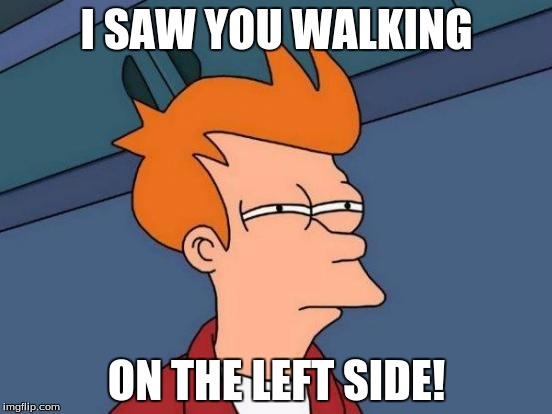 Futurama Fry Meme | I SAW YOU WALKING; ON THE LEFT SIDE! | image tagged in memes,futurama fry | made w/ Imgflip meme maker